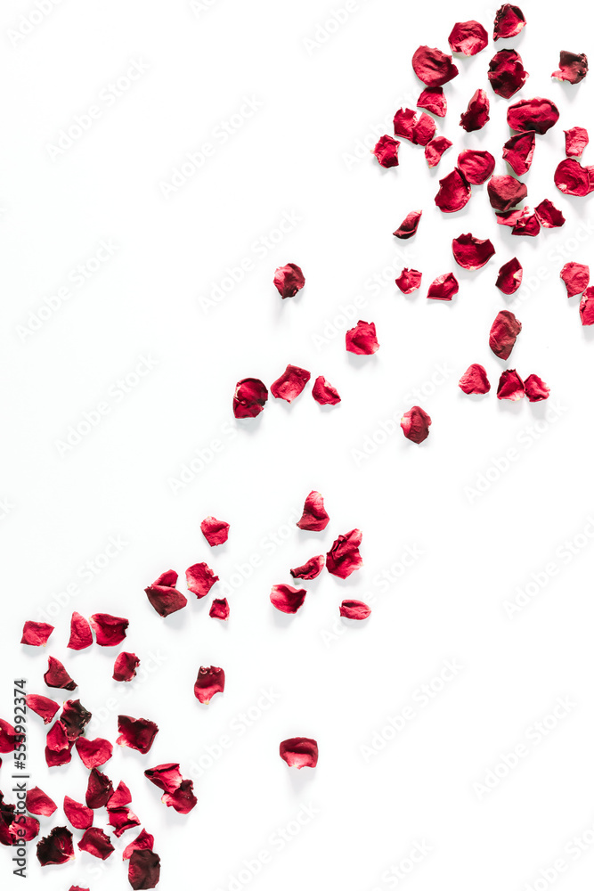 Flowers  composition of dry red petals roses on white background. Flat lay, top view, copy space