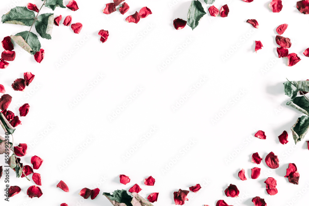 Flowers composition of dry red roses. Frame made of dried rose flowers, petals and leaves on white background.Flat lay, top view, copy space Flowers composition of dry red roses. Frame made of dried rose flowers, petals and leaves on white background.Flat lay, top view, copy space