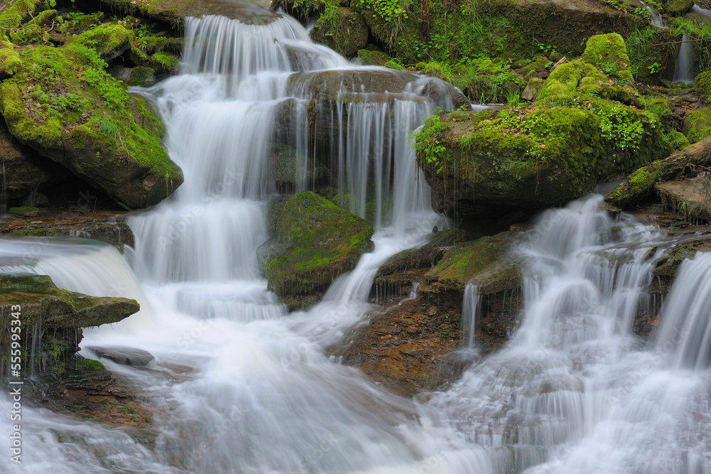 Stream in Forest, Spessart, Bavaria, Germany Stream in Forest, Spessart, Bavaria, Germany