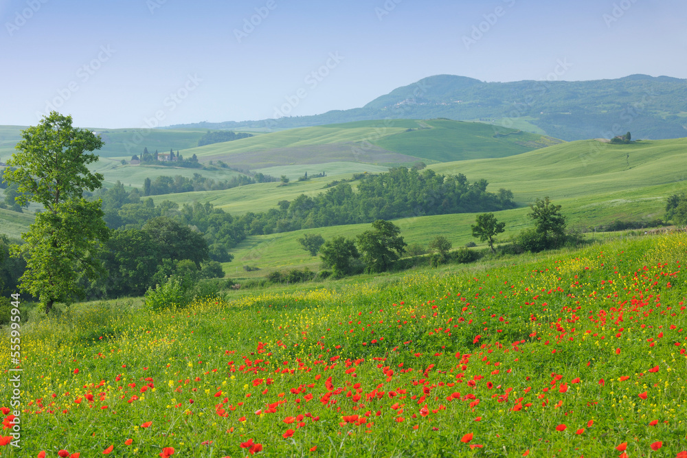 Castiglione d'Orcia, Siena Province, Val d'Orcia, Tuscany, Italy Castiglione d'Orcia, Siena Province, Val d'Orcia, Tuscany, Italy