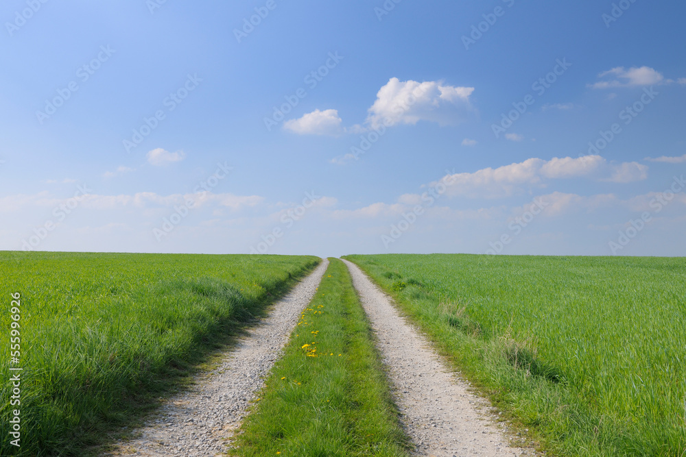 Path Through Fields, Grossheubach, Spessart, Bavaria, Germany Path Through Fields, Grossheubach, Spessart, Bavaria, Germany