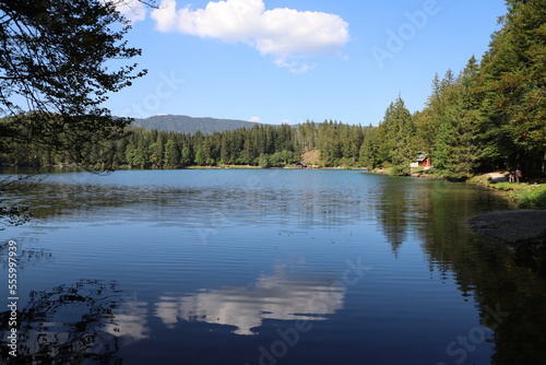 Lago