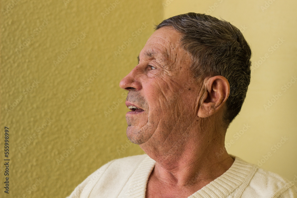 Obraz premium Portrait of retired happiness senior man sitting at home