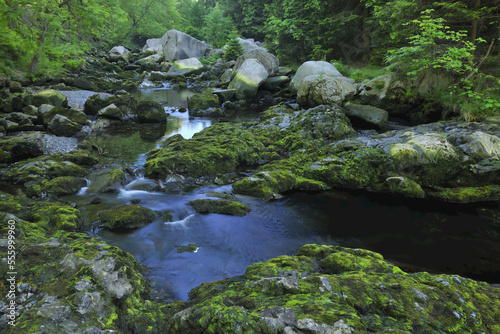 Stream, Harz National Park, Okertal, Oker, Lower Saxony, Germany photo