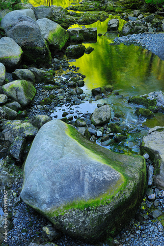 Stream, Harz National Park, Okertal, Oker, Lower Saxony, Germany photo