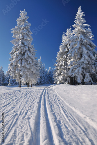 Snow Covered Landscape with Ski Trails, Rennsteig, Grosser Beerberg, Thuringia, Germany photo