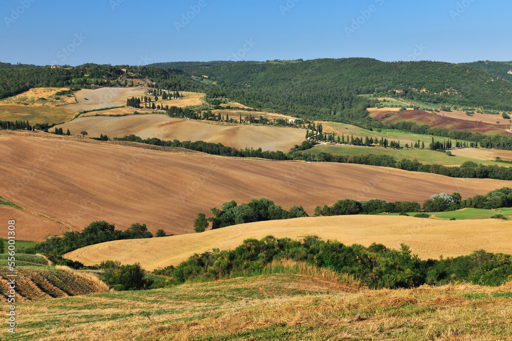 Farmland and Hills in Countryside in Summer, Pienza, Val d'Orcia, Province of Siena, Tuscany, Italy