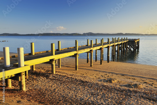 Wooden Jetty in Morning, Maraetai, Auckland Region, North Island, New Zealand photo