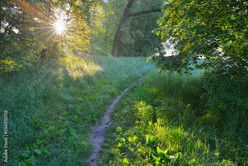 Path in meadow with sun in Spring, Kahl, Alzenau, Bavaria, Germany photo