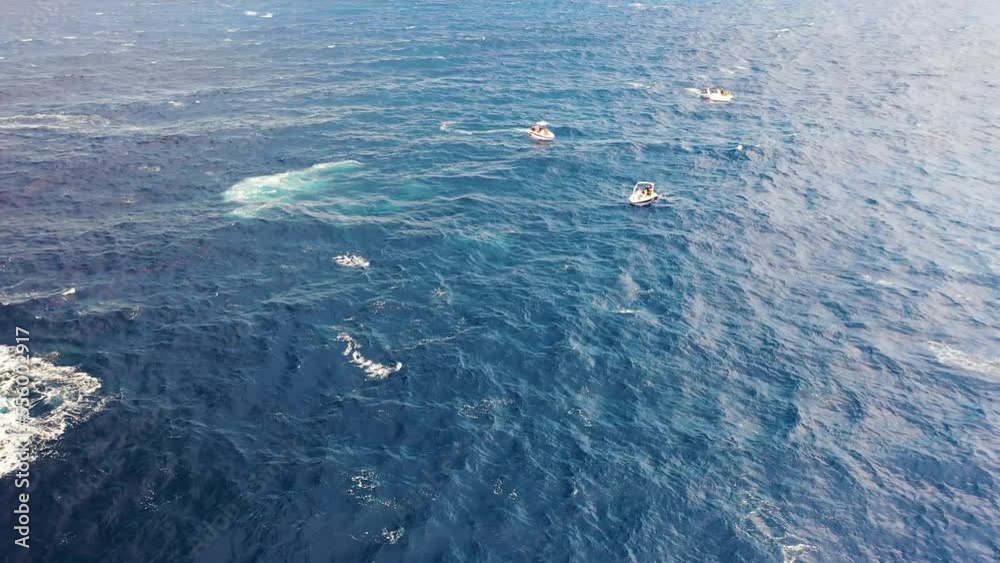 Aerial view of a boat following a sperm whale, Sao Miguel, Azores, Portugal.