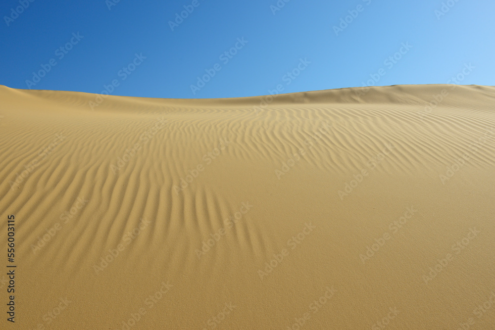 Overview of Sand Dune, Matruh, Great Sand Sea, Libyan Desert, Sahara Desert, Egypt, North Africa, Africa Overview of Sand Dune, Matruh, Great Sand Sea, Libyan Desert, Sahara Desert, Egypt, North Africa, Africa