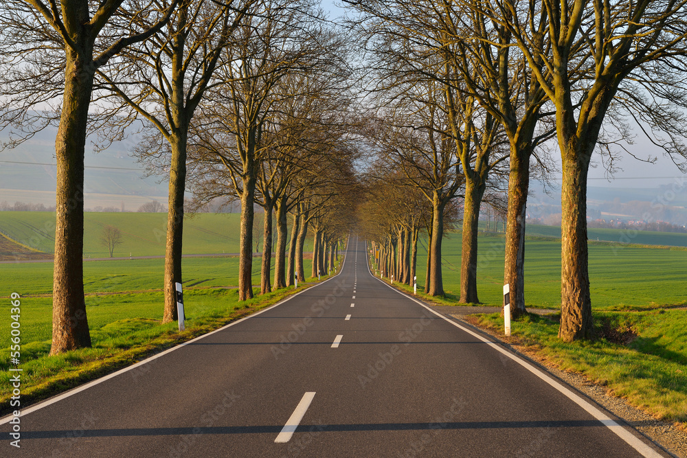 Country Road in Morning, Echte, Kalefeld, Harz, Lower Saxony, Germany Country Road in Morning, Echte, Kalefeld, Harz, Lower Saxony, Germany