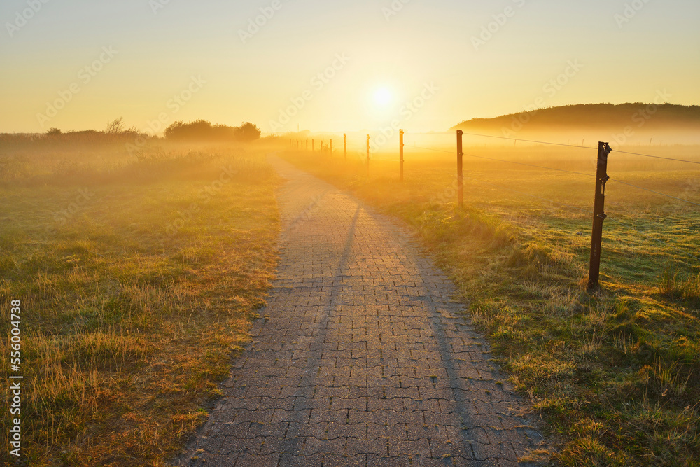 Path through Countryside with Morning Mist, Summer, Norderney, East Frisia Island, North Sea, Lower Saxony, Germany Path through Countryside with Morning Mist, Summer, Norderney, East Frisia Island, North Sea, Lower Saxony, Germany