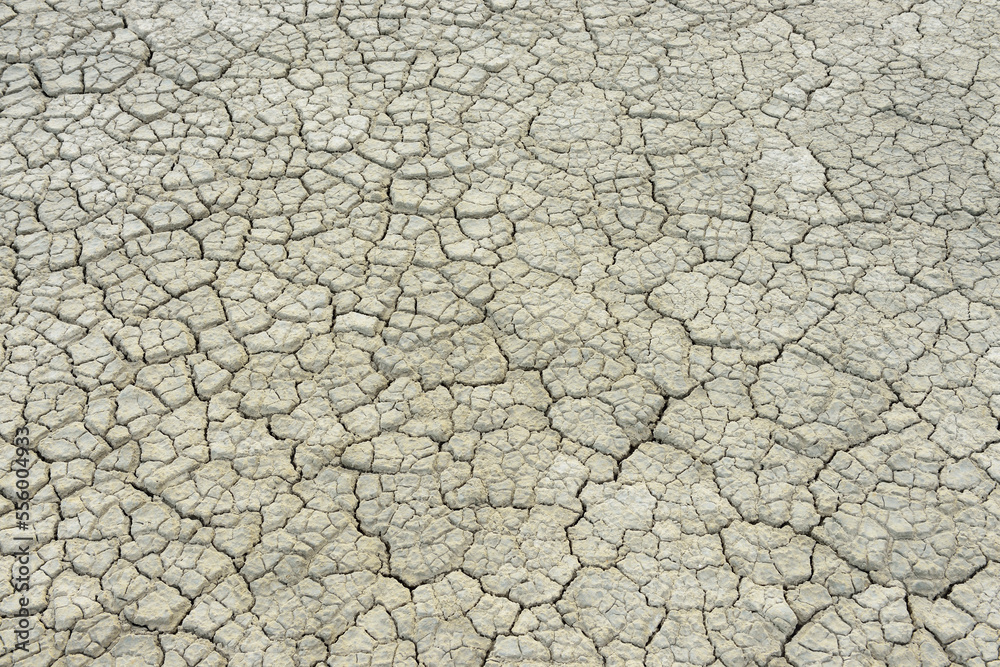 Cracked Dry Ground, Digue a la Mer, Camargue, Bouches-du-Rhone, Provence-Alpes-Cote d'Azur, France Cracked Dry Ground, Digue a la Mer, Camargue, Bouches-du-Rhone, Provence-Alpes-Cote d'Azur, France