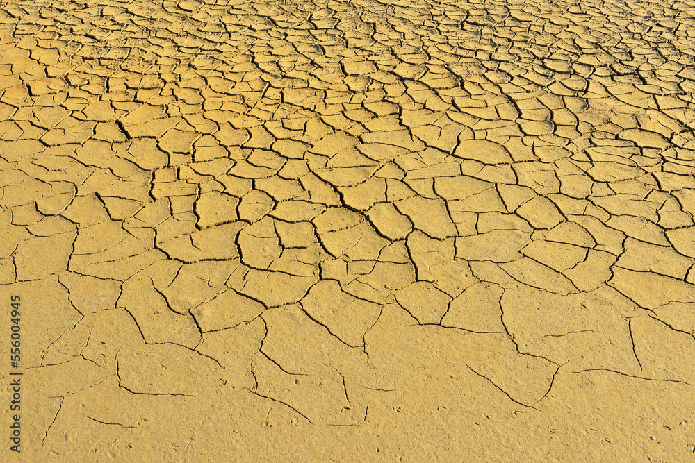 Cracked Dry Ground, Digue a la Mer, Camargue, Bouches-du-Rhone, Provence-Alpes-Cote d'Azur, France Cracked Dry Ground, Digue a la Mer, Camargue, Bouches-du-Rhone, Provence-Alpes-Cote d'Azur, France