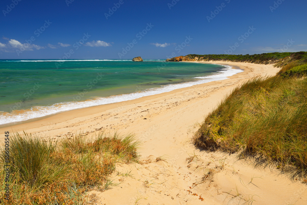 Ocean Coastline with Sandy Beach in Summer, Peterborough, Great Ocean Road, Victoria, Australia Ocean Coastline with Sandy Beach in Summer, Peterborough, Great Ocean Road, Victoria, Australia