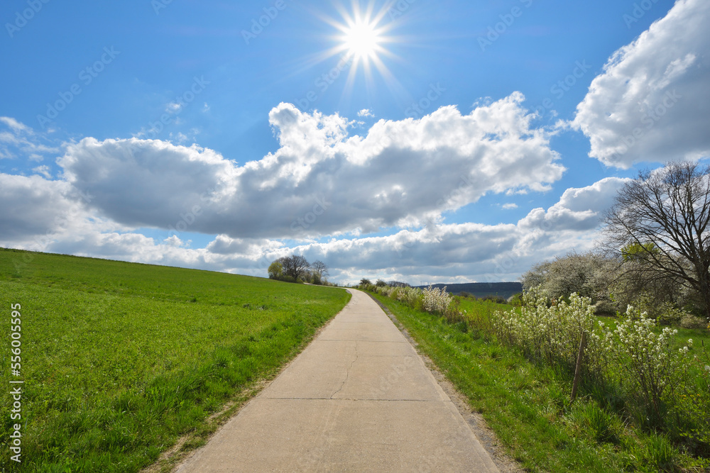 Road through Field with Sun, Bettingen, Wertheim, Main-Tauber-District, Odenwald, Baden-Wurttemberg, Germany Road through Field with Sun, Bettingen, Wertheim, Main-Tauber-District, Odenwald, Baden-Wurttemberg, Germany