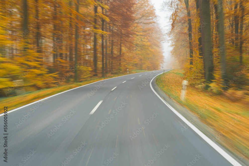 Road View from a Scenic Route in Autumn Forest, Spessart, Franconia, Bavaria, Germany Road View from a Scenic Route in Autumn Forest, Spessart, Franconia, Bavaria, Germany