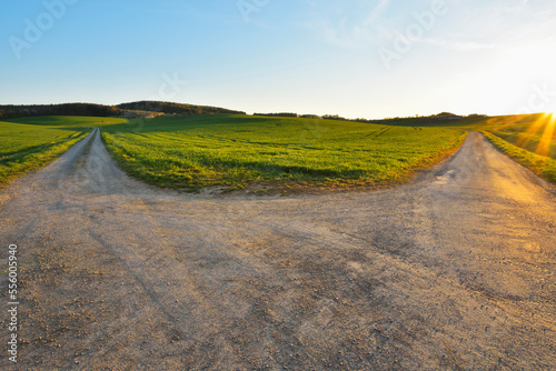Forked Road in Field with Sun, Birkenfeld, Lower Franconia, Bavaria, Germany