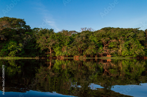 Mirror reflections on the water of Rio Amazonas in Brazil at sunset during a canoe excursion in the middle of the rain forest