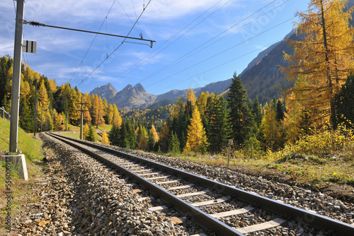 Railroad Tracks in Autumn, Preda, Albula Pass, Grisons, Switzerland photo
