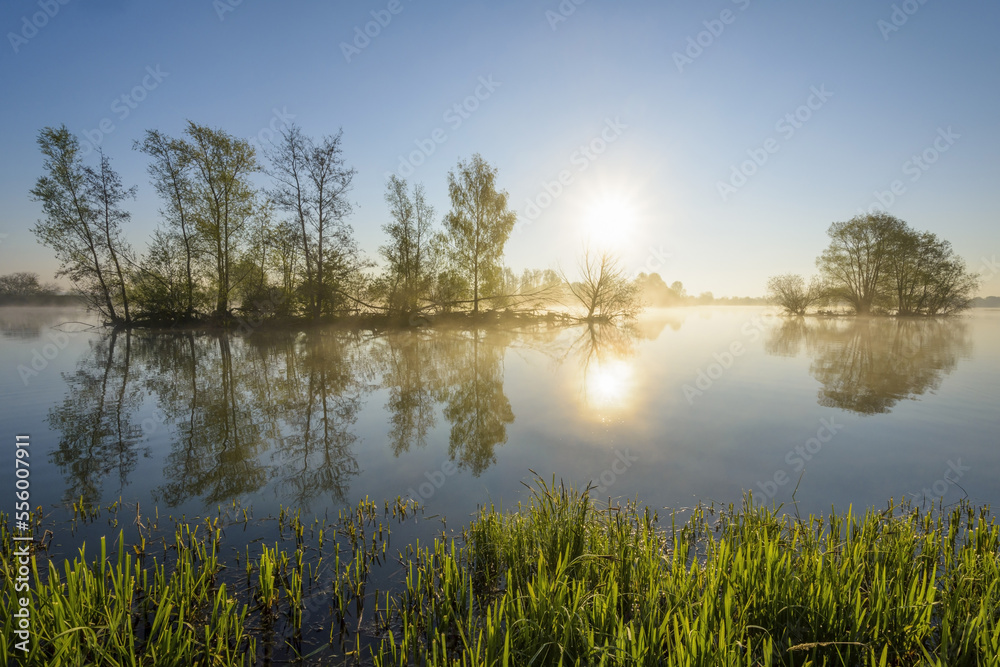 Lakeside with Island, Sun and Morning Mist, Streudorf, Lake Altmuhlsee, Weissenburg-Gunzenhausen, Bavaria, Germany Lakeside with Island, Sun and Morning Mist, Streudorf, Lake Altmuhlsee, Weissenburg-Gunzenhausen, Bavaria, Germany