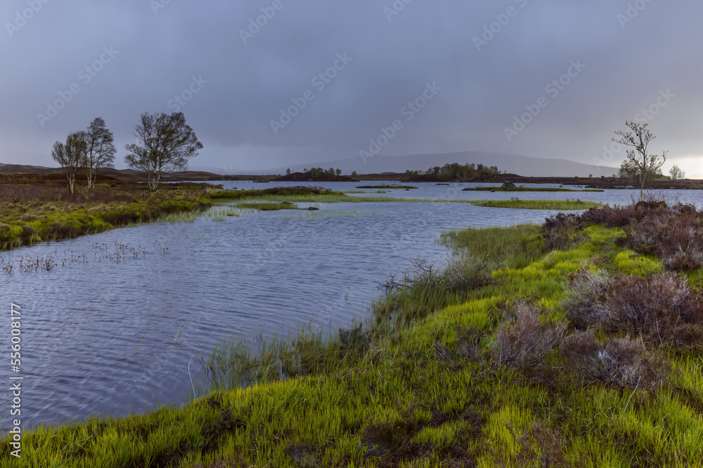 River in moor landscape with stormy sky at Rannoch Moor in Scotland, United Kingdom River in moor landscape with stormy sky at Rannoch Moor in Scotland, United Kingdom