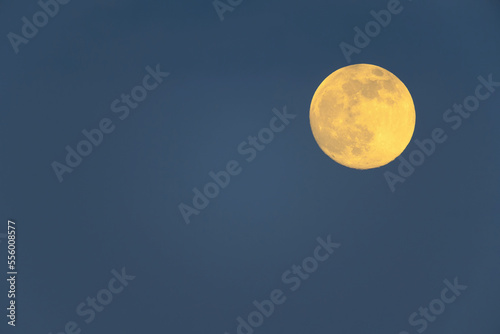 Full moon in a night blue sky over Burgenland in Austria photo