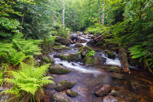 Mountain stream after rain at Kleine Ohe at Waldhauser in the Bavarian Forest National Park in Bavaria, Germany photo