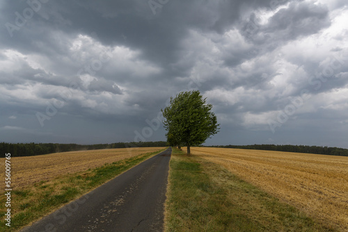 Field landscape with road and approaching thunderstorm in summer, Neudorf, Amorbach, Bavaria, Germany photo