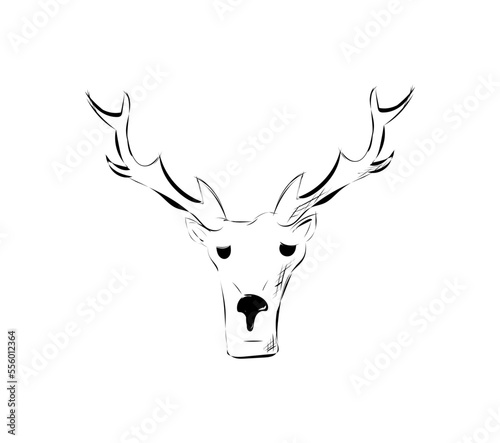 Hirsch