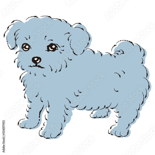 チワプーのイラスト（チワワとトイプードルのミックス犬）