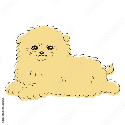 ポメプーのイラスト（ポメラニアンとトイプードルのミックス犬）