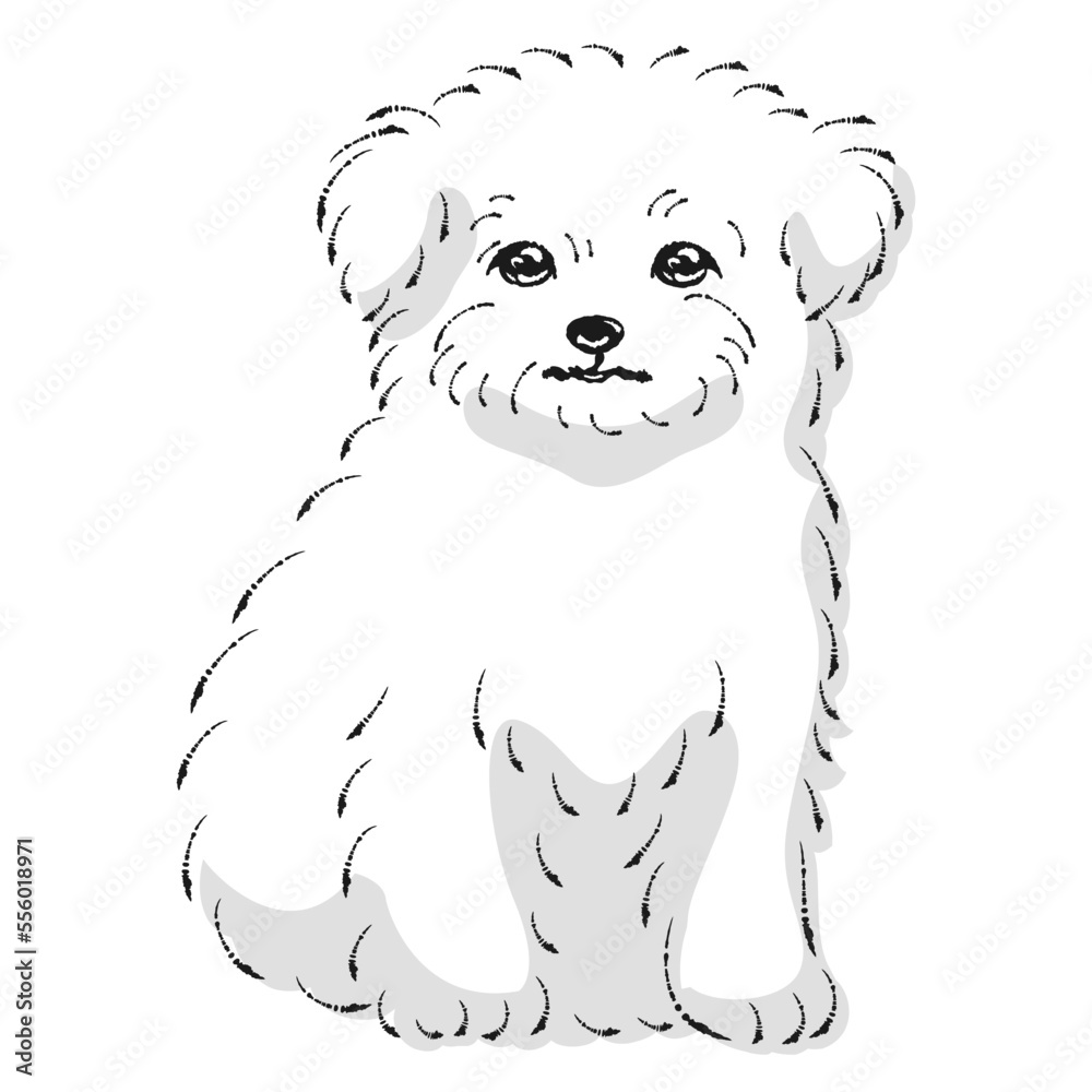 【kazu】 鉛筆画 犬 チワワ マルチーズ 手描き イラスト 原画 kazu】 鉛筆画 犬 チワワ マルチーズ 手描き イラスト 原画 kazu