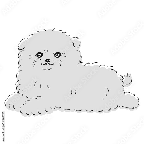 ポメプーのイラスト（ポメラニアンとトイプードルのミックス犬）