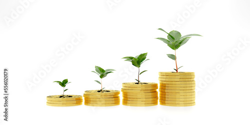 Stop motion stacked coins with money saving concept and tree growing business finance in a piggy bank with money boxes for future funds of tourism, home, and retirement on isolated white background.