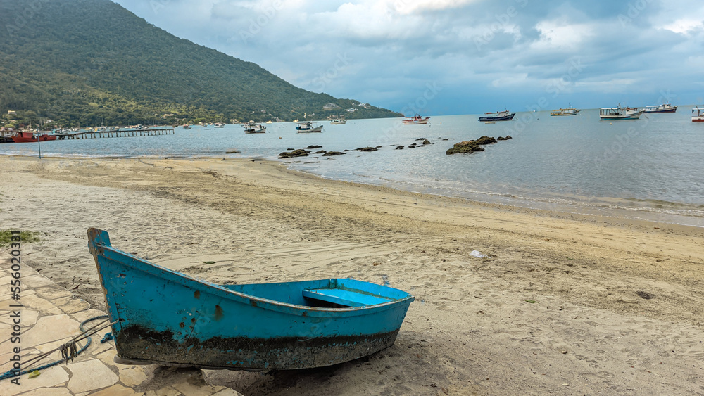 Small blue boat anchored at the edge of the beach.