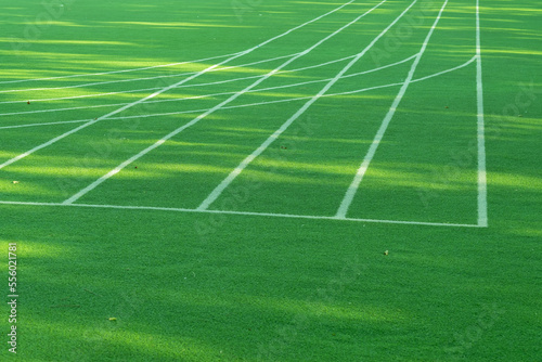 Green grass background, football field © waranyu