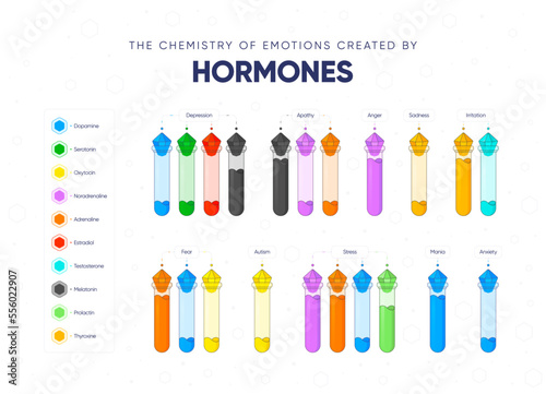 The chemistry of emotions created by hormones. Dependence of the state and mood of the person on hormonal background. Names of hormones and medical flasks filled with hormones. Vector illustration