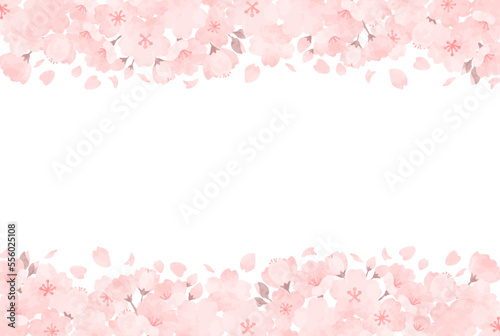 美しい手描きの桜のフレームイラスト