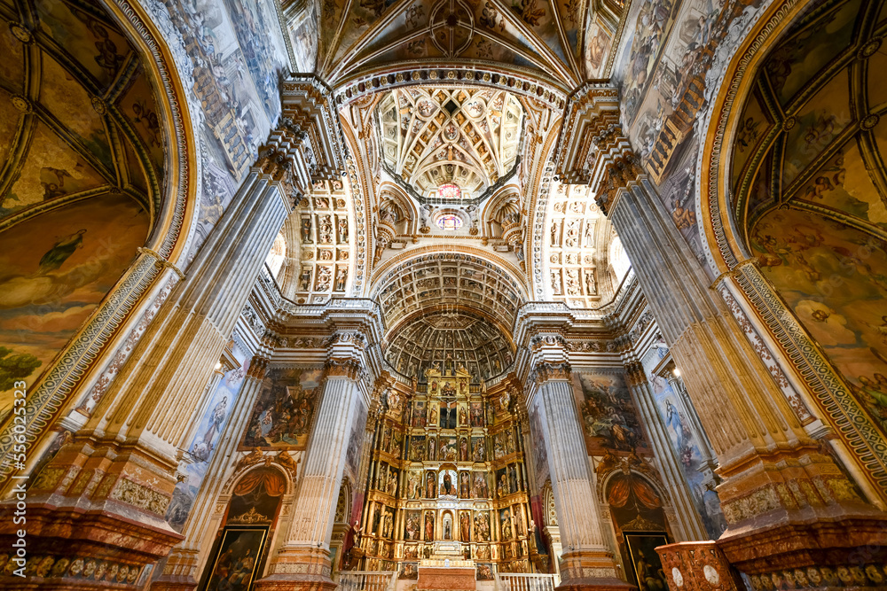 Cathedral of Granada - Spain