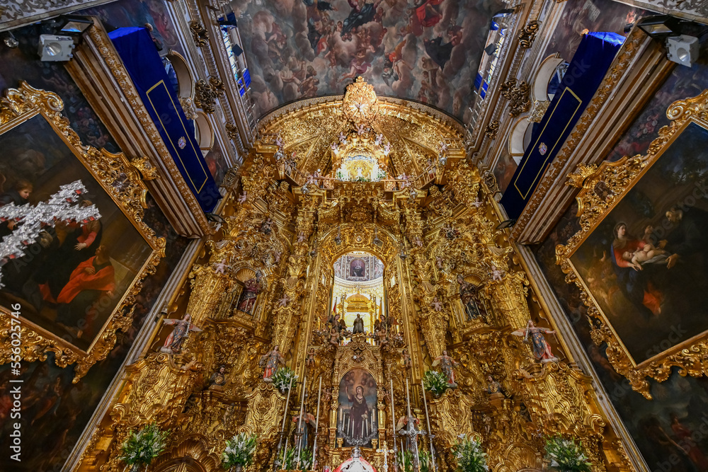 Cathedral of Granada - Spain