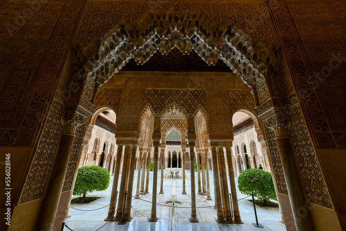 Lion Patio - Alhambra, Granada, Spain