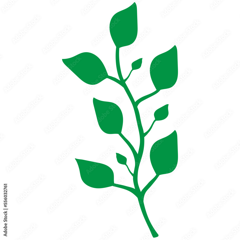 plant isolated on white background
