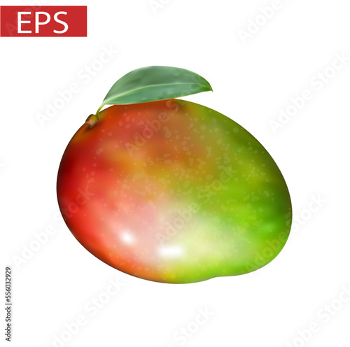 3d Mango fruit for fresh juice. Realistic red and green mango with leaf isolated on white background for packaging design. Vector EPS 10. Realistic icon fruit illustration