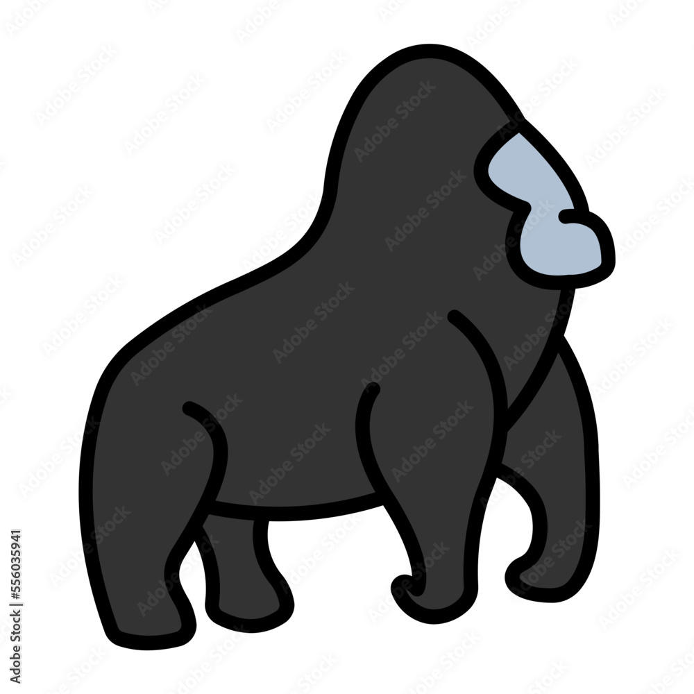 Gorilla Gorilla