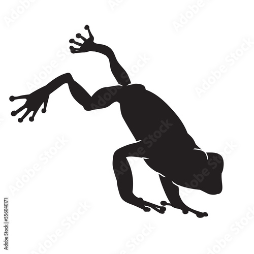 Frog black isolated silhouette on white background. Amphibian Vector illustration.