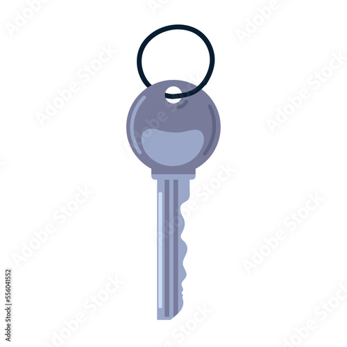 key vector icon