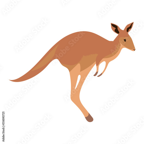 kangaroo animal icon