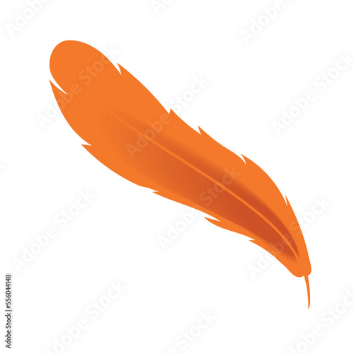 feather decoration icon